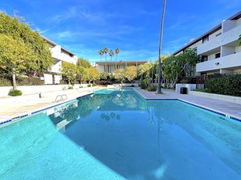 Olympic sized swimming pool